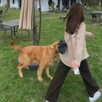 孤岛逃亡记